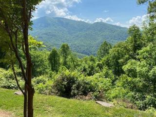 Millstone Lodge - Bryson City - 4
