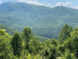 Millstone Lodge - Bryson City - 3