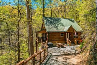 Hummingbird Hollow - Bryson City - 9