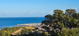Superbe Villa, incroyable vue mer, avec piscine à Solenzara - Togna - 3