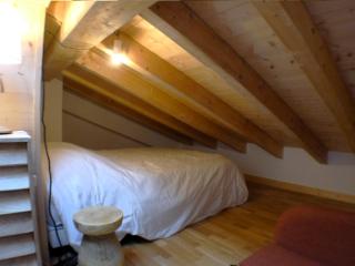 Superbe T4 mansardé - 3 chambres - Vue panoramique - Parking privé - FR-1-629-112 - Samoëns - 4