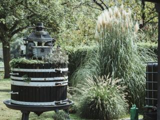 Villa Moselstrand - 3