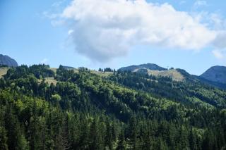 Cosy and nice view on mountains - 6