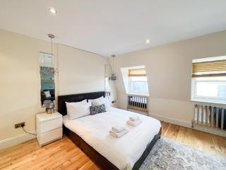 Large and very stylish apartment P1 - Londra - 6