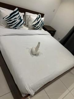 Sunway Luxury at Embassy Gardens - Cantonments - 2