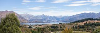 Kauri House Apartment - Wanaka - 1