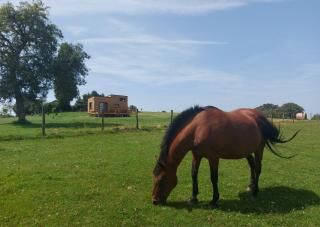 La Ti'Nid de Jeanne - 1