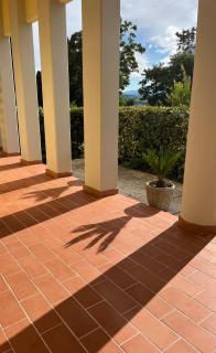 My Home in Peccioli - Peccioli - 7