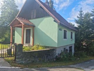 FoRest Chalet - Zalesina - 9