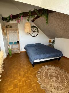 Jungle Cosy - Louviers - 9