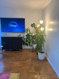 sweet appartement Disneyland Paris parking 300m station val d'Europe - 6