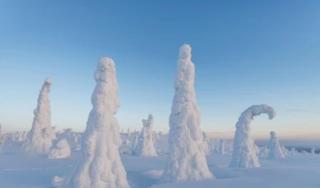 Rovavisit Grand Villa - Rovaniemi - 9