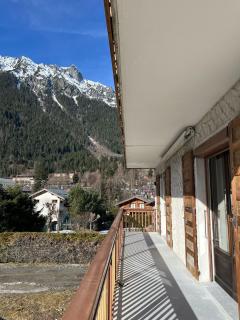 Luxury Chalet Chamonix - Chamonix - 1