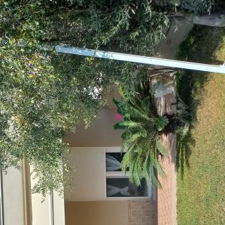Palm Garden apartment - Nikiti - 6