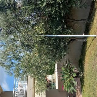 Palm Garden apartment - Nikiti - 9