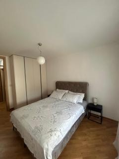 Vert Lux - 3