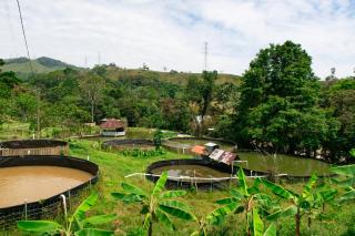 Hospedaje RioBosque San Carlos - 8