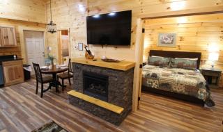 282 Cozy Cub - Gatlinburg - 4