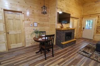 282 Cozy Cub - Gatlinburg - 3
