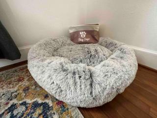 Retro by the Bay Close to Beach Eglin PetFriendly - Freeport - 7