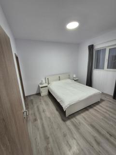 Adelina House - Remetea Mare - 4