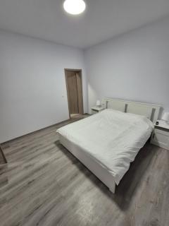 Adelina House - Remetea Mare - 2