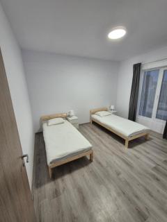 Adelina House - Remetea Mare - 5