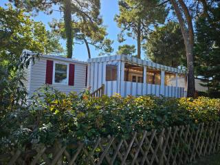 Location mobil-home - Saint-Jean-de-Monts - 8