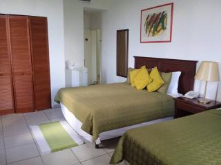 Hotel Palma Real - El Tigre - 3