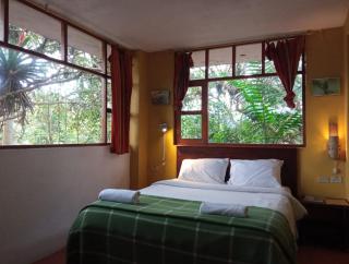 Biohostal Mindo Cloud Forest - Mindo - 3