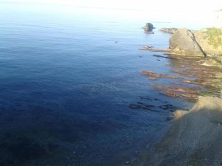 Maison pieds dans l'eau - Alger - Baïnem Falaise - 2