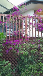 Hillview Holiday Home - 2