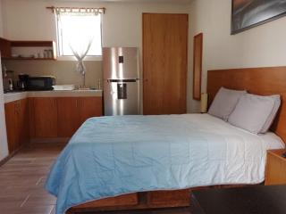 Hermoso Loft en Morelia a 15 minutos del centro, rodeado de avenidas principales que conectan a Morelia, el Loft cuenta con cocina equipada, baño completo, cama matrimonial, TV, wifi - Morelia - 7