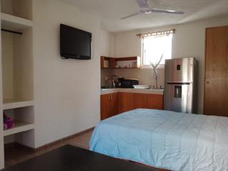 Hermoso Loft en Morelia a 15 minutos del centro, rodeado de avenidas principales que conectan a Morelia, el Loft cuenta con cocina equipada, baño completo, cama matrimonial, TV, wifi - Morelia - 4