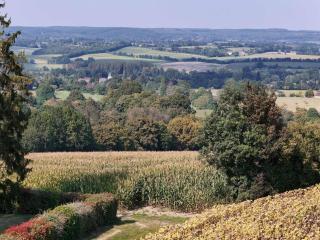 Maison percheronne avec jardin, animaux acceptés, WiFi, cheminée, proche commerces - FR-1-497-29 - Bellou-sur-Huisne - 9
