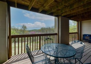 Libby's Perch No Stairs Outdoor Pool - 4