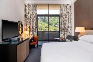 Sheraton Mission Valley San Diego Hotel - San Diego - 1