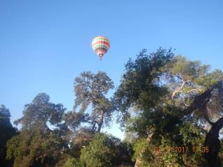 Temecula Wine Country Ranch with 200 year old oaks - Oakridge Ranches - 6