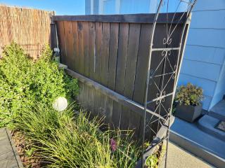 Minimalist Cabin Solo Traveller - 2