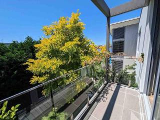 Waterfront Oasis , Infinity Pool, Sauna and steam room - Sydney - 6