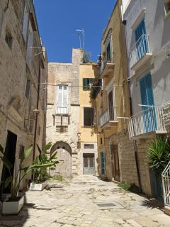 La Fenice - Splendore - Trani - 3