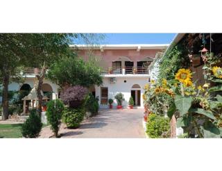 Mridul Homestay Orchha, Madhya Pradesh - Orchha - 9