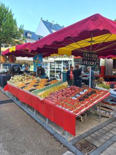 charmante studette a quiberon plage - 9