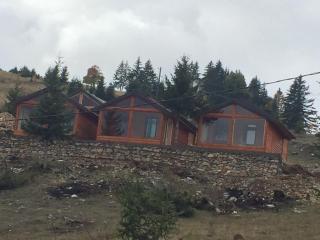 Vila DedeNikolla stankaj rugove pej - Peje - 9