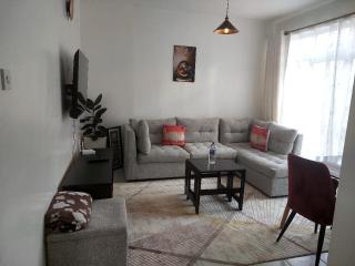 Cosy 1 Bedroom with 2 TVs - Nairobi - 0