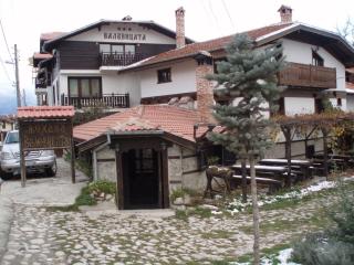 Guest House Valevicata - Bansko - 5