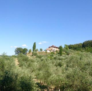 Agriturismo Prato Barone - Rufina - 4