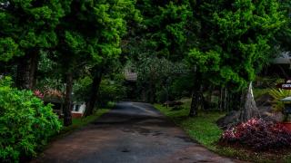 Mount Xanadu Resorts - Ambalavayal - 4