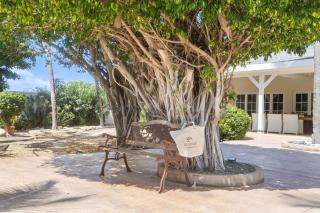 Bocobay Koyari Dreams - Palm-Eagle Beach - 3