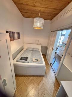 Quiet cabin in city center - Budapest - 1